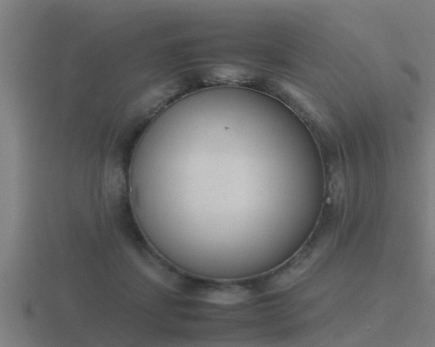 X0000116840459200912241232