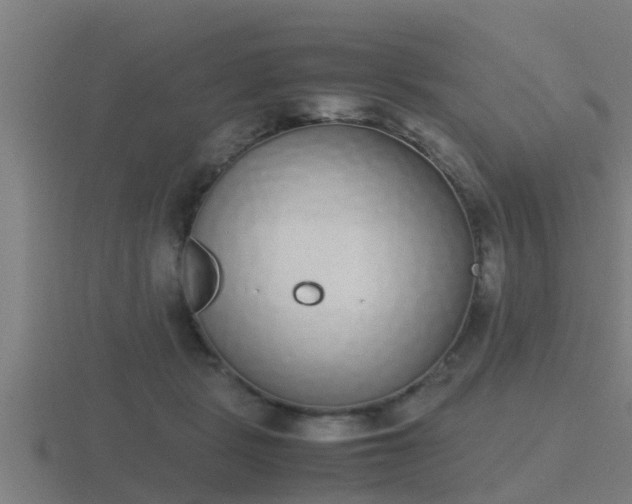 X0000116840461200912241232