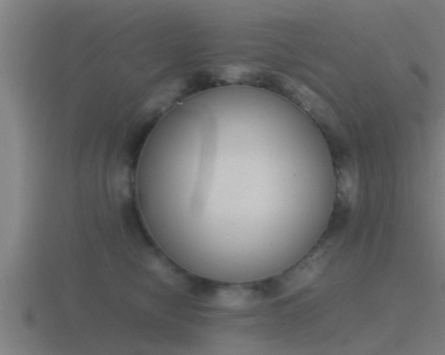 X0000116840470200912241232