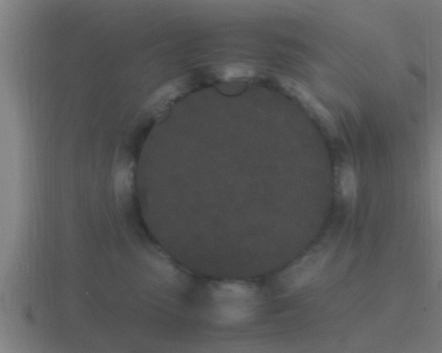 X0000116840475200912241232