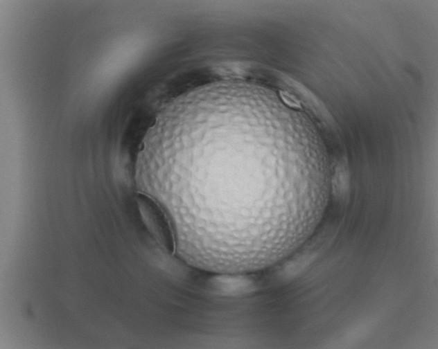 X0000116840477200912241232