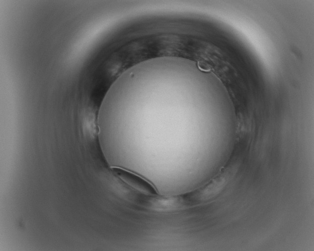 X0000116840479200912241232