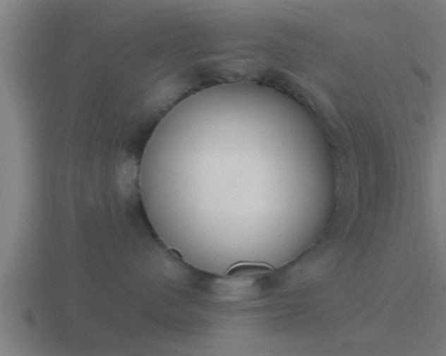 X0000116840480200912241232