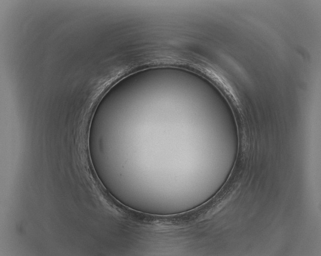 X0000116840481200912241231