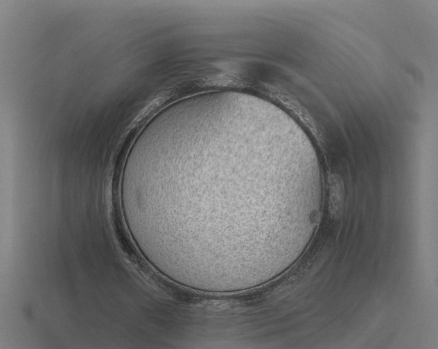 X0000116840482200912241231