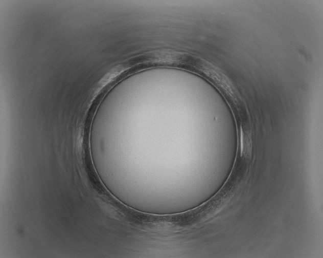 X0000116840483200912241231