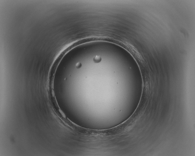 X0000116840484200912241231