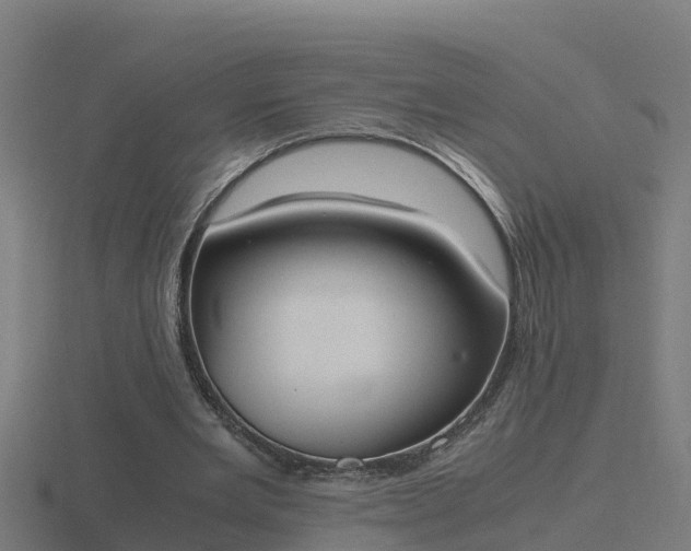 X0000116840485200912241231