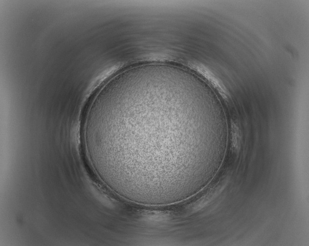 X0000116840486200912241231