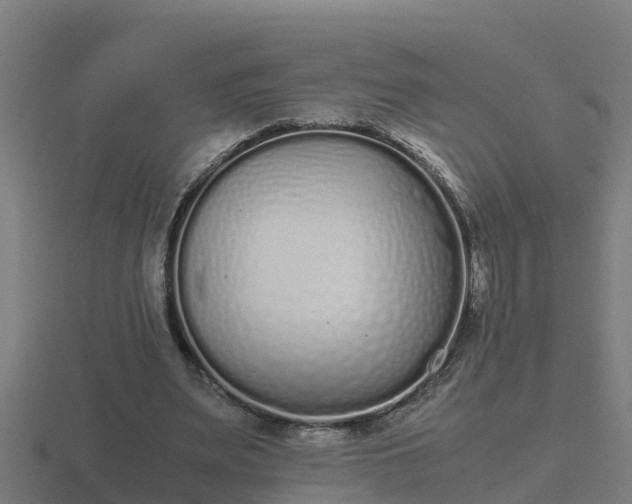 X0000116840487200912241231