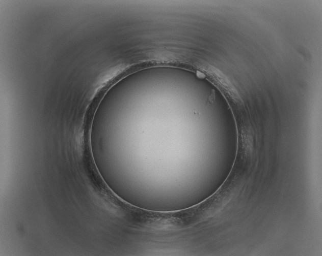 X0000116840488200912241231