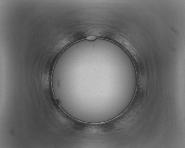 X0000116840489200912241231