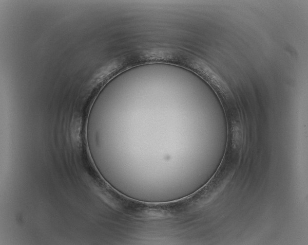 X0000116840490200912241231