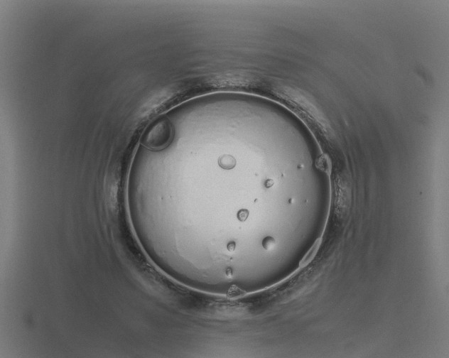 X0000116840491200912241231