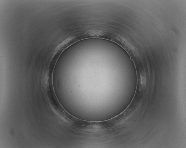 X0000116840492200912241231