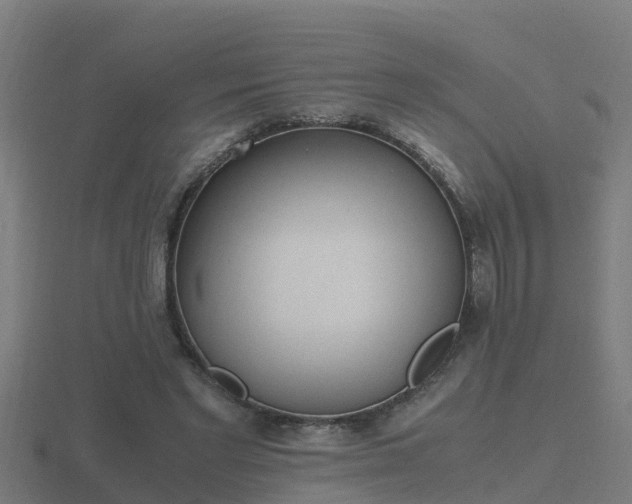 X0000116840493200912241231