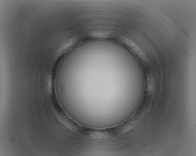 X0000116840494200912241231