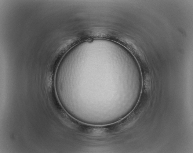 X0000116840495200912241231