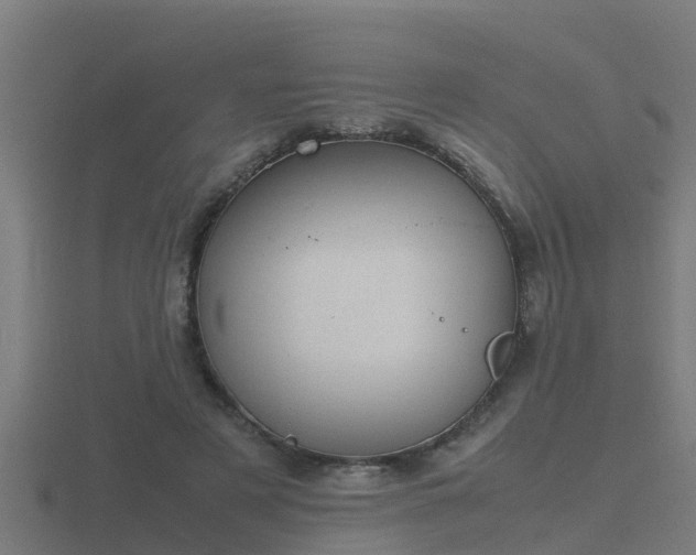 X0000116840497200912241231