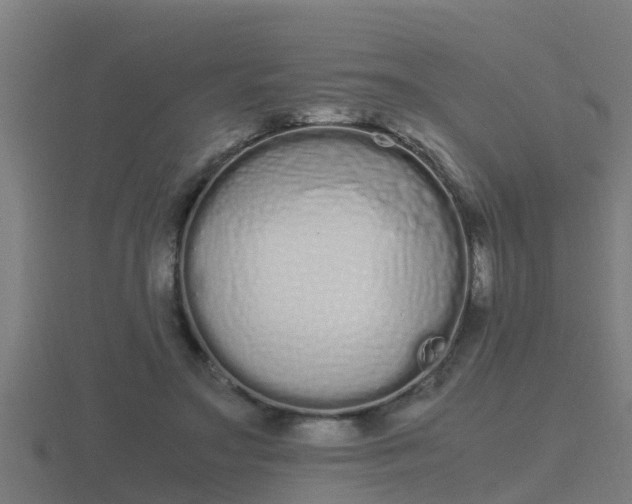 X0000116840499200912241231