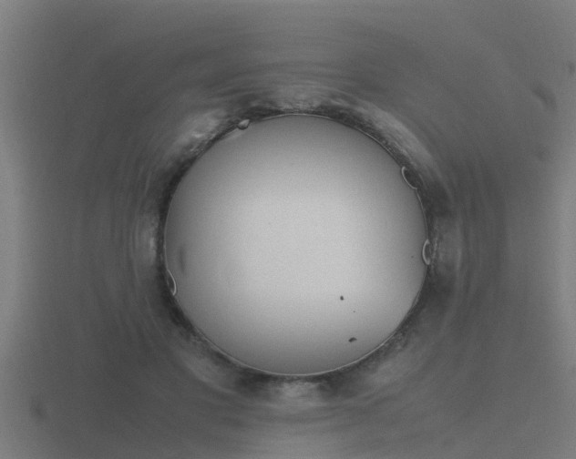 X0000116840501200912241231