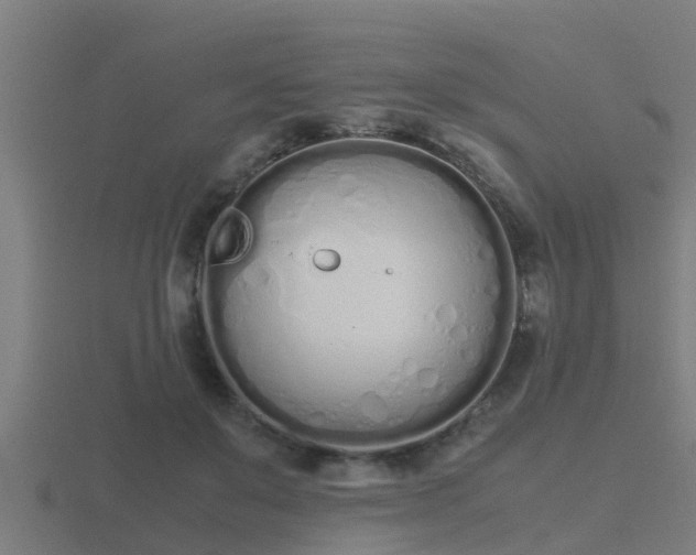 X0000116840503200912241231