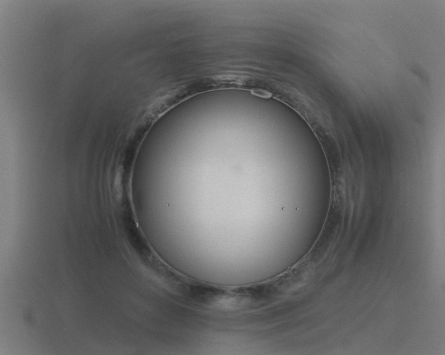 X0000116840504200912241231