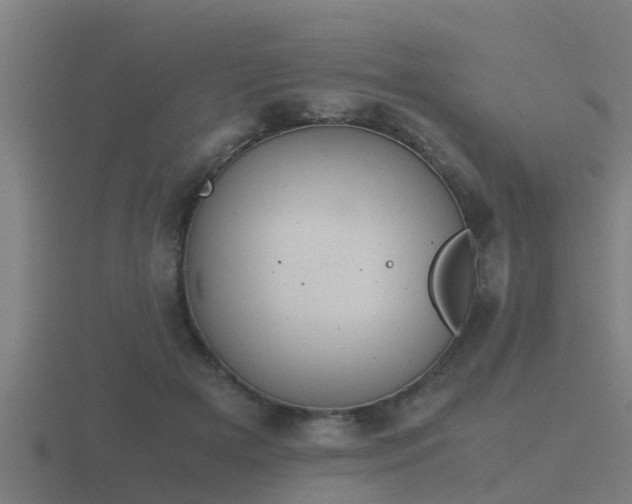 X0000116840505200912241231