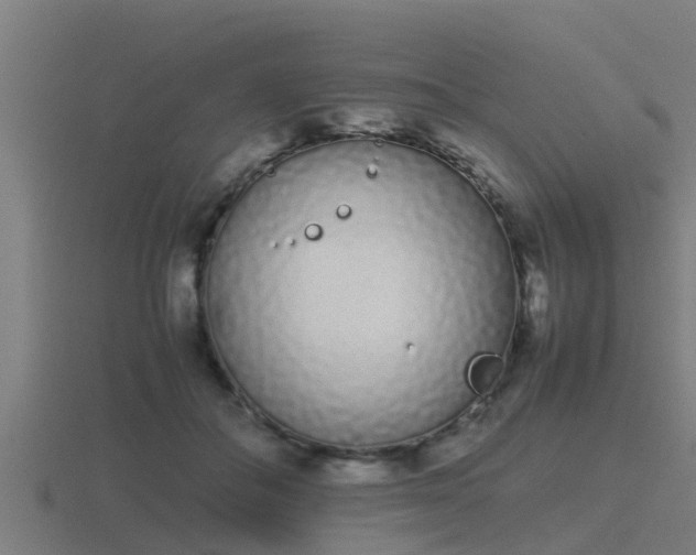 X0000116840506200912241231