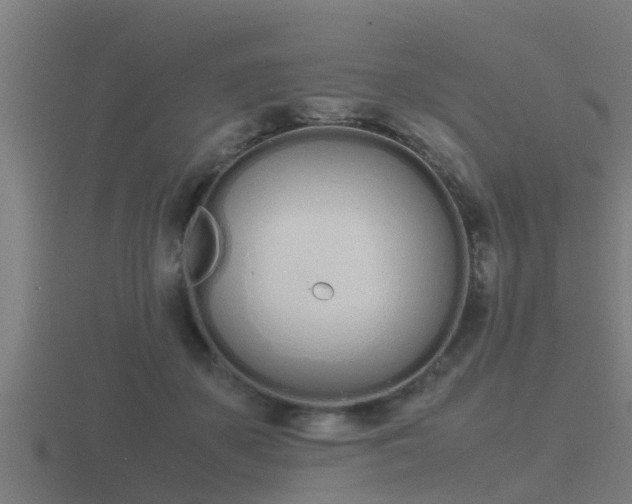 X0000116840507200912241231