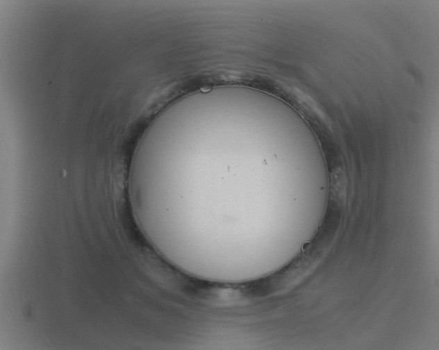 X0000116840509200912241231