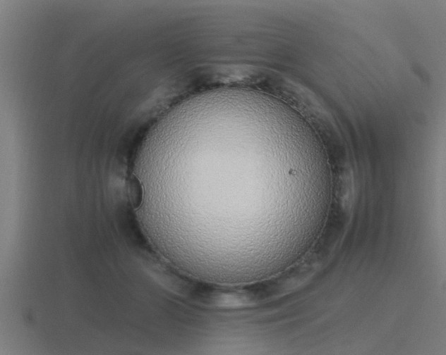 X0000116840510200912241231