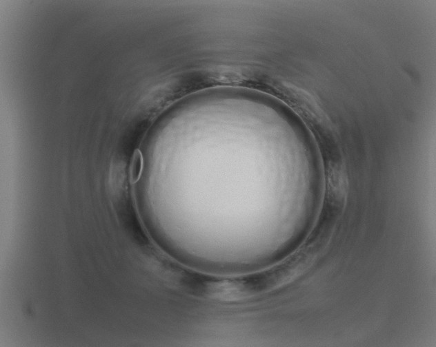 X0000116840511200912241231