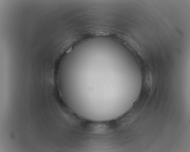 X0000116840512200912241231