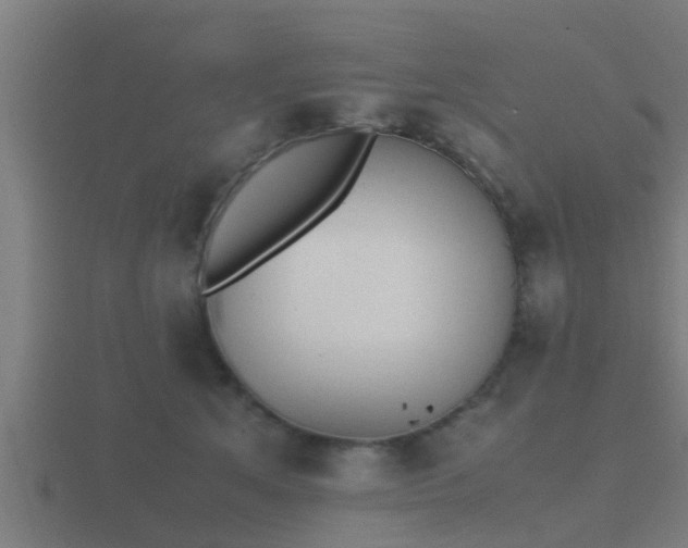 X0000116840513200912241231