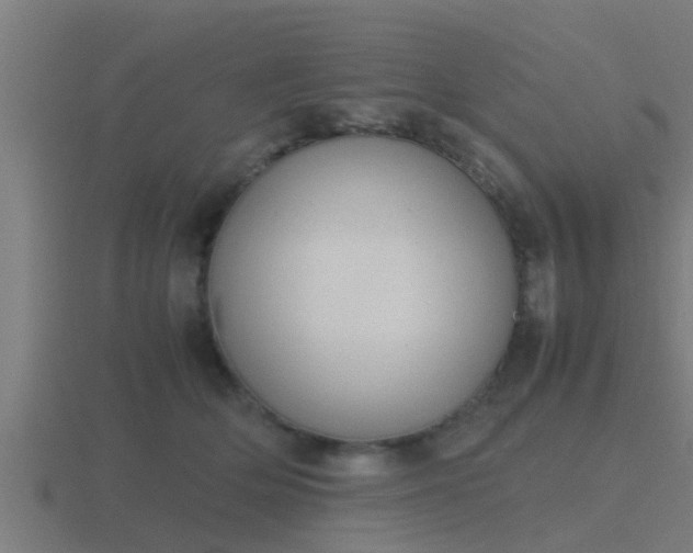 X0000116840514200912241231