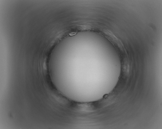 X0000116840516200912241231