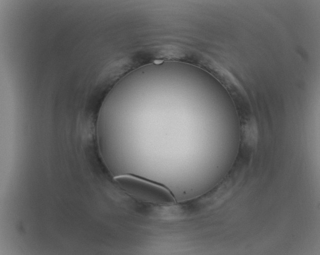 X0000116840517200912241231