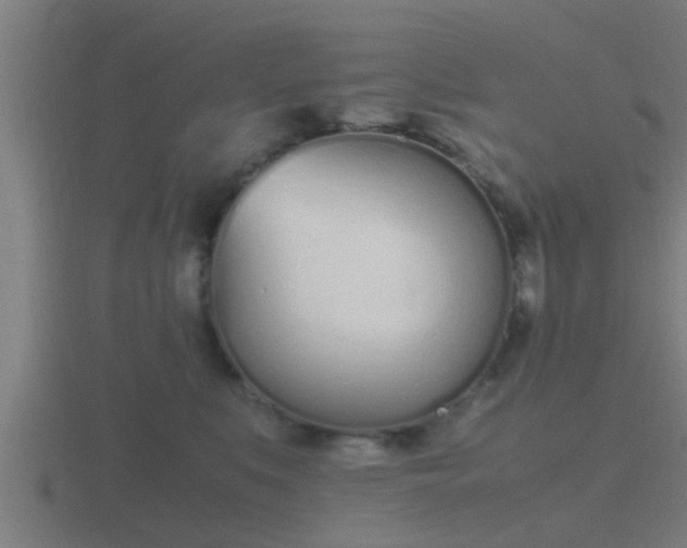 X0000116840519200912241231