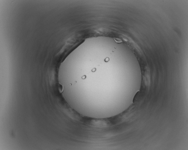 X0000116840520200912241231