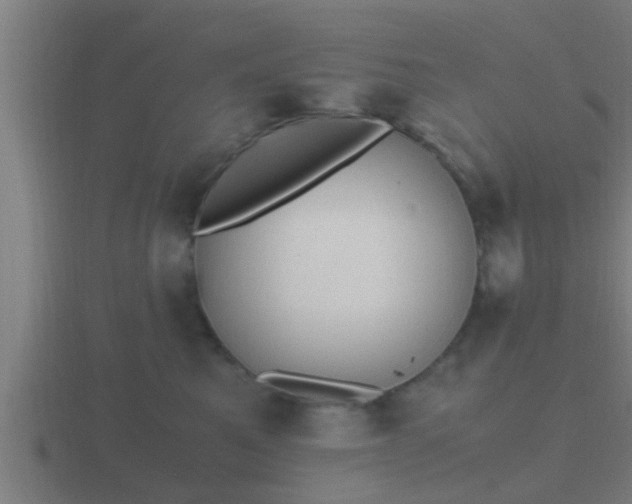 X0000116840521200912241231