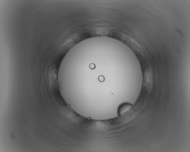 X0000116840522200912241231