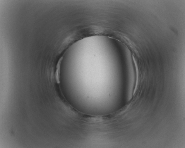 X0000116840524200912241231