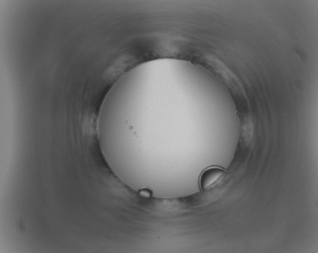 X0000116840525200912241231