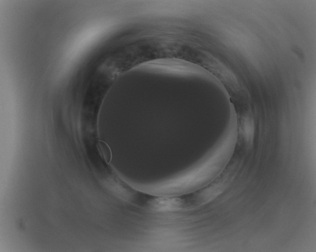 X0000116840526200912241231