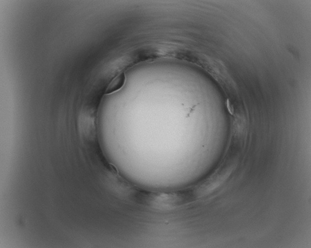 X0000116840527200912241231