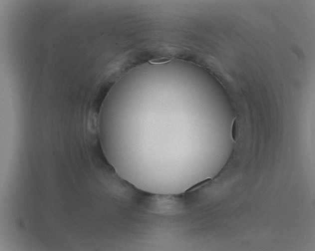 X0000116840528200912241231