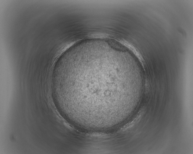 X0000116840529200912241230