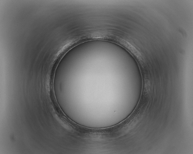 X0000116840530200912241230