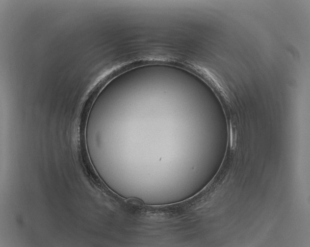 X0000116840531200912241230